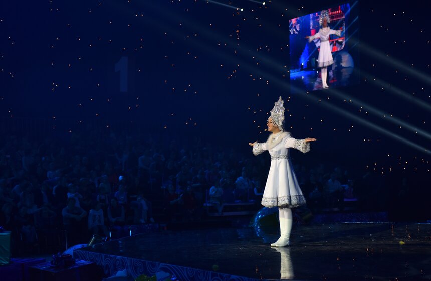 Серия новогодних представлений "Елка Мэра" 12 фото