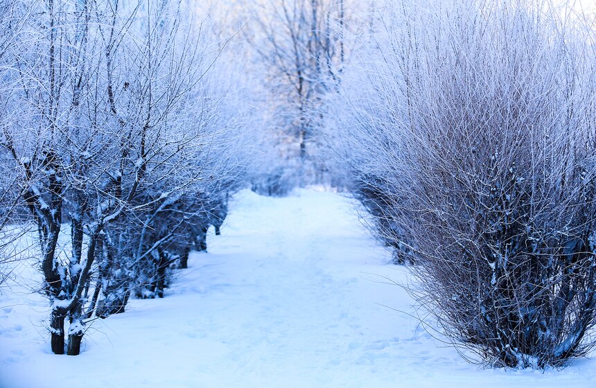 Природные красоты зимней столицы. Фоторепортаж 20 фото