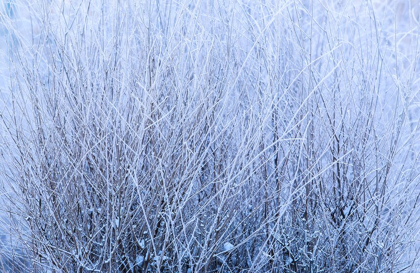 Природные красоты зимней столицы. Фоторепортаж 19 фото