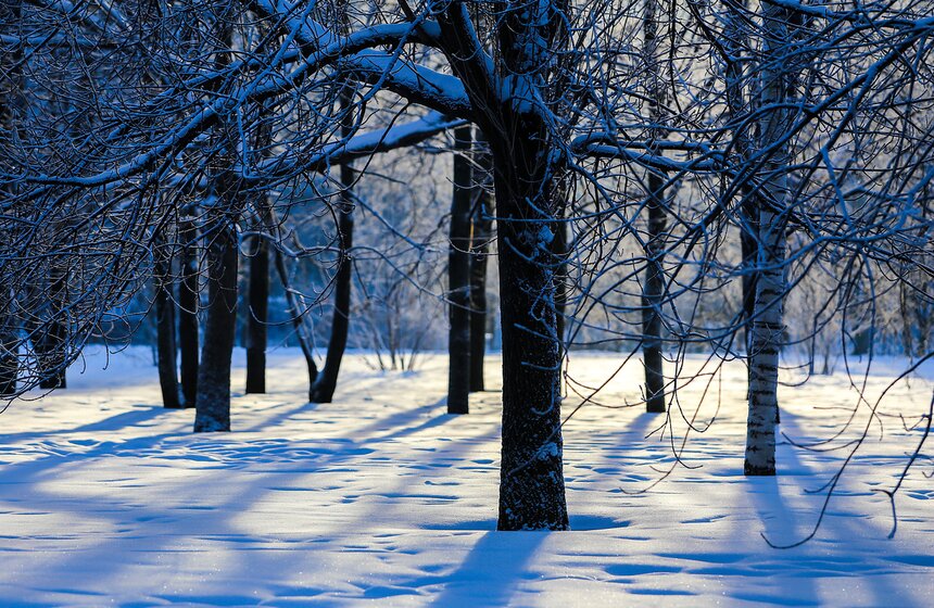Природные красоты зимней столицы. Фоторепортаж 18 фото
