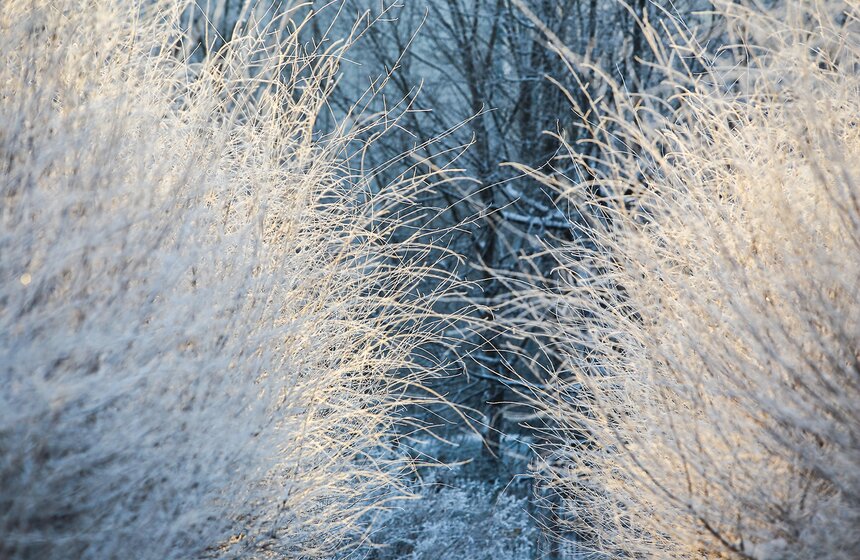 Природные красоты зимней столицы. Фоторепортаж 30 фото