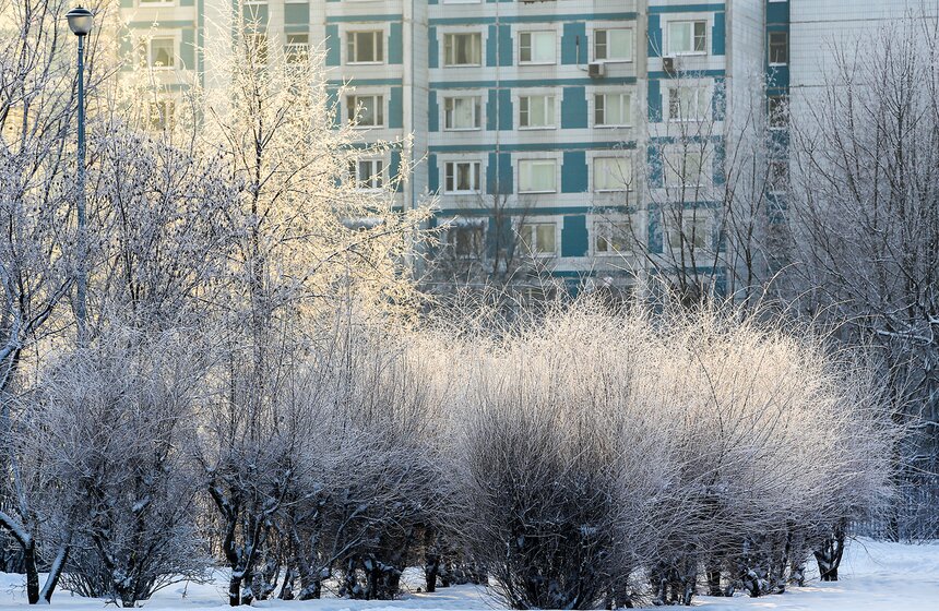 Природные красоты зимней столицы. Фоторепортаж 29 фото