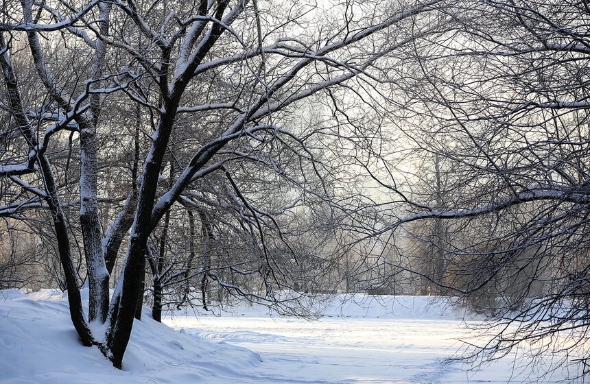 Природные красоты зимней столицы. Фоторепортаж 24 фото