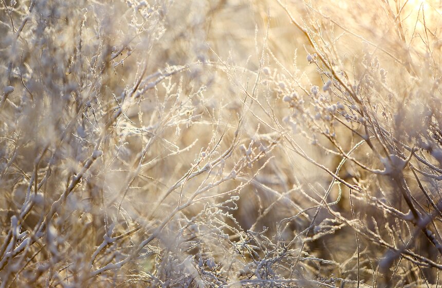 Природные красоты зимней столицы. Фоторепортаж 22 фото