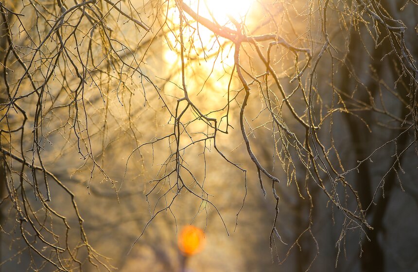 Природные красоты зимней столицы. Фоторепортаж 27 фото