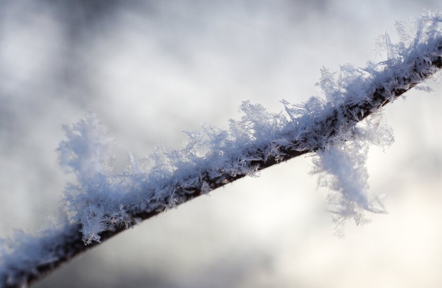 Природные красоты зимней столицы. Фоторепортаж 28 фото