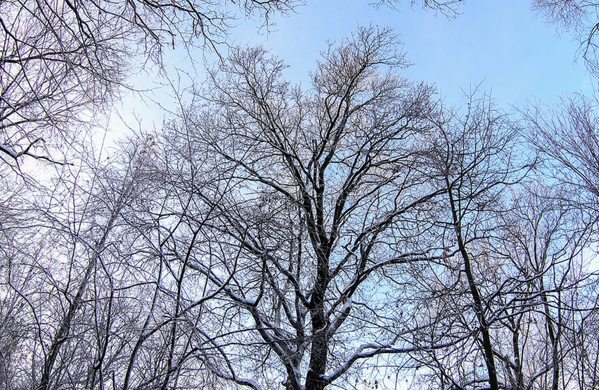 Природные красоты зимней столицы. Фоторепортаж 11 фото