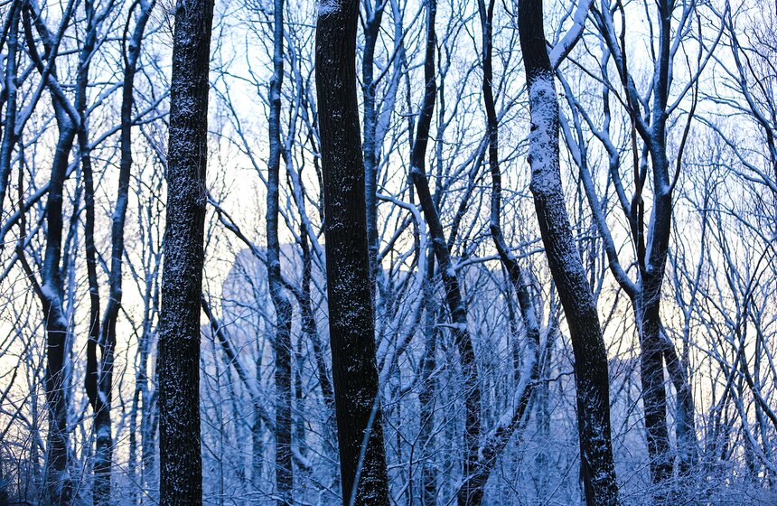 Природные красоты зимней столицы. Фоторепортаж 15 фото