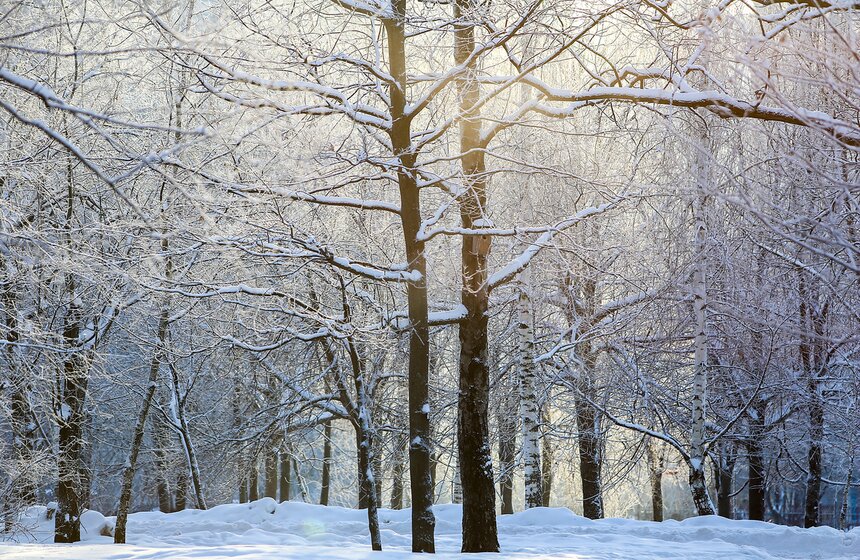 Природные красоты зимней столицы. Фоторепортаж 17 фото