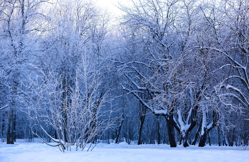 Природные красоты зимней столицы. Фоторепортаж 8 фото