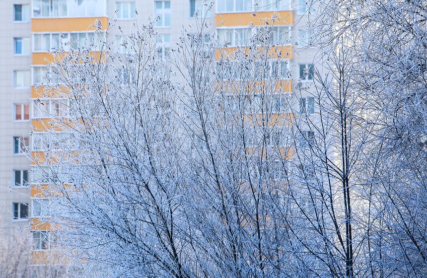Природные красоты зимней столицы. Фоторепортаж 7 фото