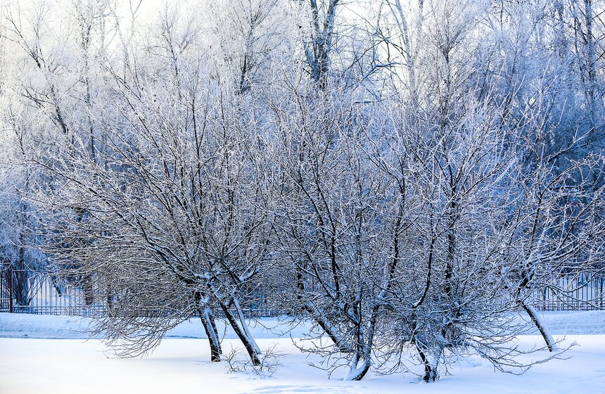 Природные красоты зимней столицы. Фоторепортаж 4 фото