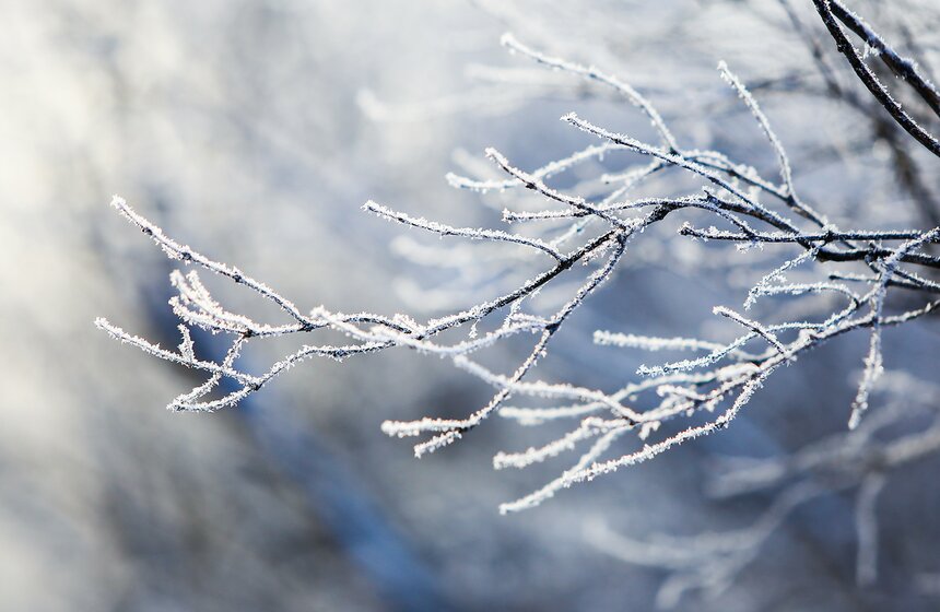 Природные красоты зимней столицы. Фоторепортаж 3 фото