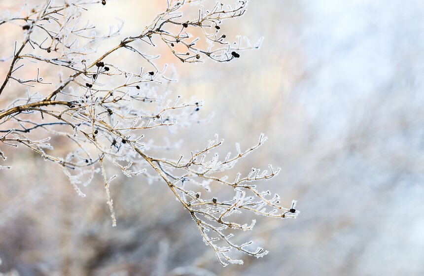 Природные красоты зимней столицы. Фоторепортаж 2 фото