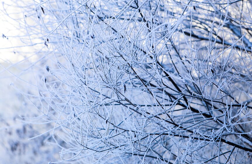 Природные красоты зимней столицы. Фоторепортаж 5 фото