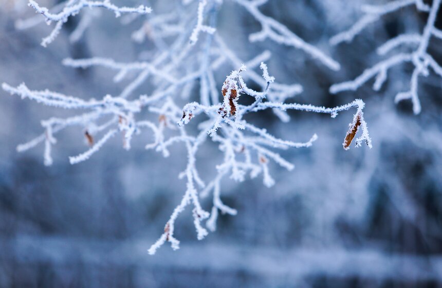 Природные красоты зимней столицы. Фоторепортаж 6 фото