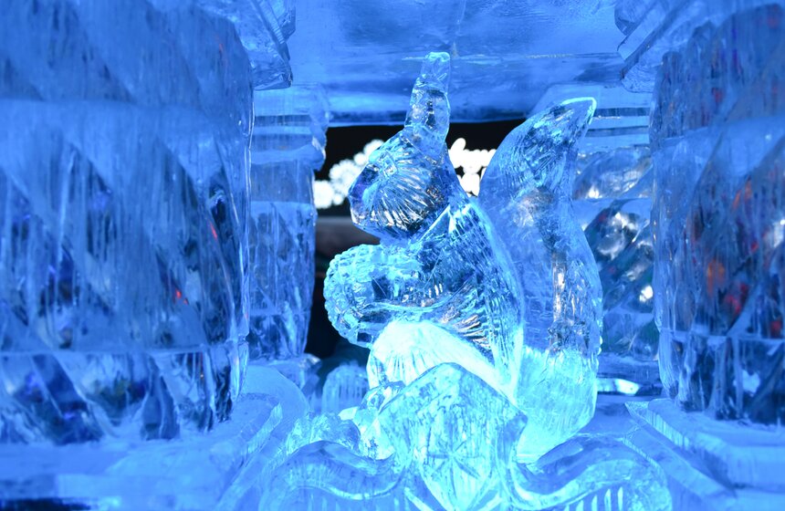 Фестиваль "Ледовая Москва. В кругу семьи" на Поклонной горе 21 фото