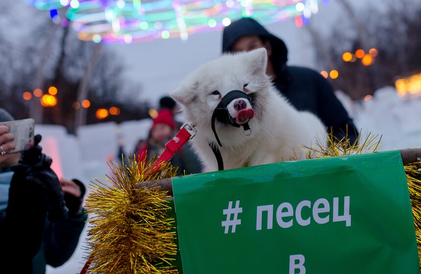 Галерею ледяных скульптур поставили в парке "Сокольники" 6 фото