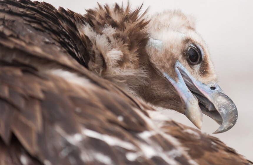 Московский зоопарк отметил 152-летие. Фото: m24.ru/Александр Авилов