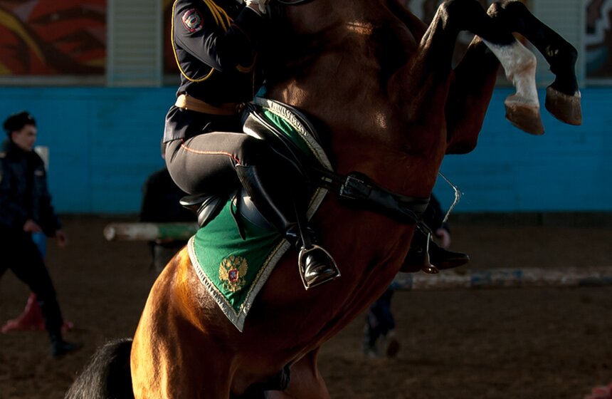 Кавалерийские маневры сотрудников ГУ МВД Москвы. Фоторепортаж 17 фото