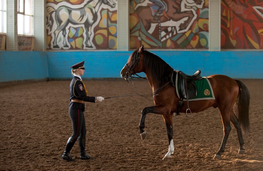 Кавалерийские маневры сотрудников ГУ МВД Москвы. Фоторепортаж 16 фото