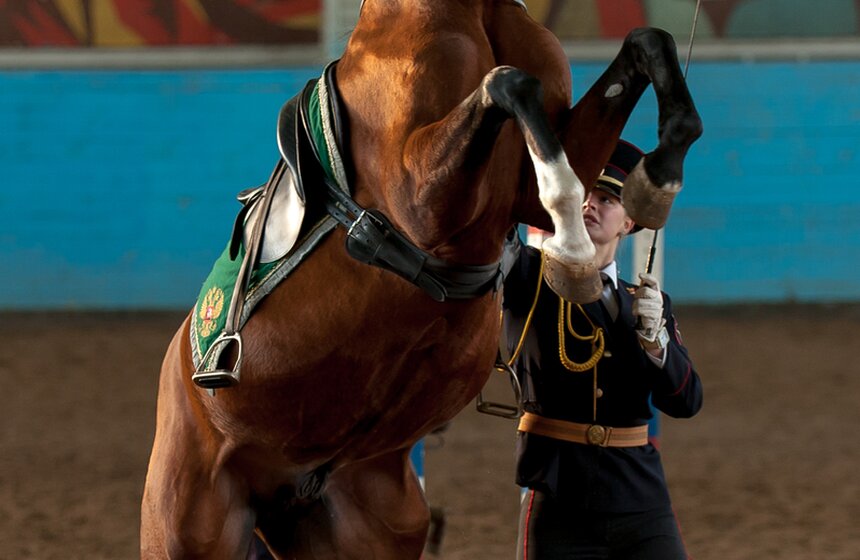 Кавалерийские маневры сотрудников ГУ МВД Москвы. Фоторепортаж 15 фото