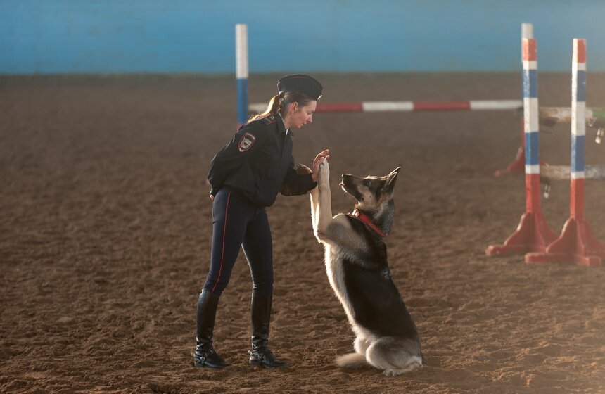 Кавалерийские маневры сотрудников ГУ МВД Москвы. Фоторепортаж 21 фото