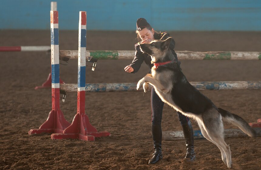 Кавалерийские маневры сотрудников ГУ МВД Москвы. Фоторепортаж 20 фото