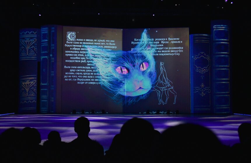 Ледовое шоу "Щелкунчик" 33 фото