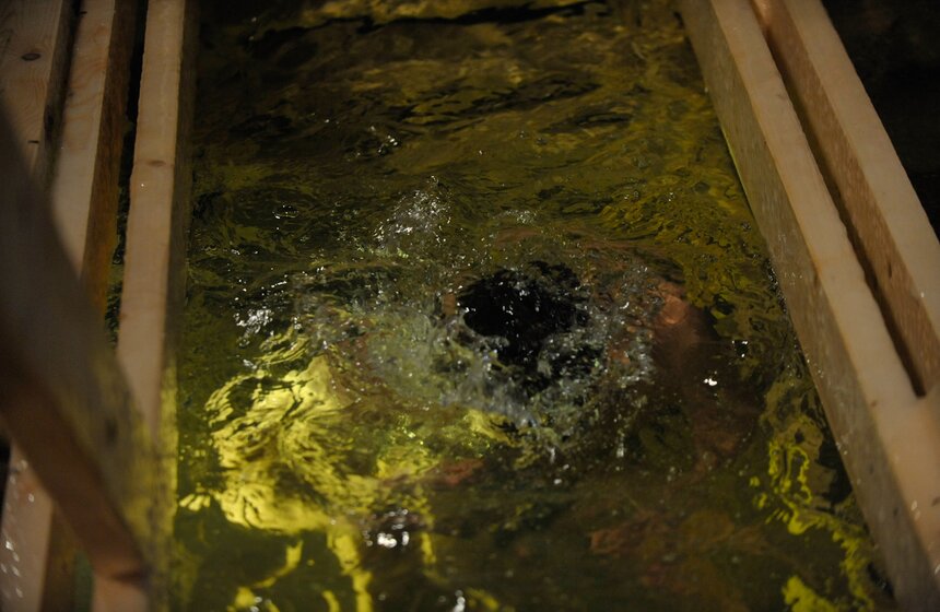 Как прошли крещенские купания в Покровском-Стрешневе 32 фото