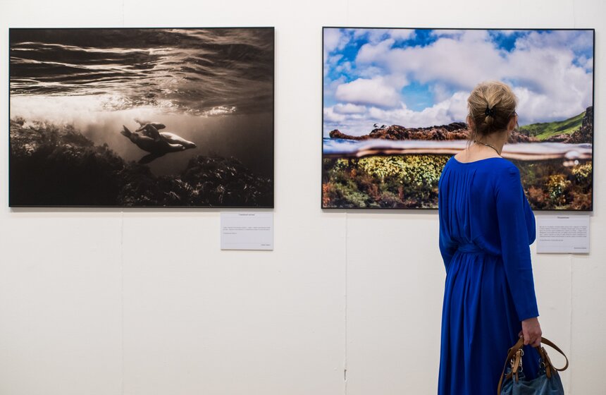 Фестиваль природы "Первозданная Россия" стартовал в Москве 8 фото