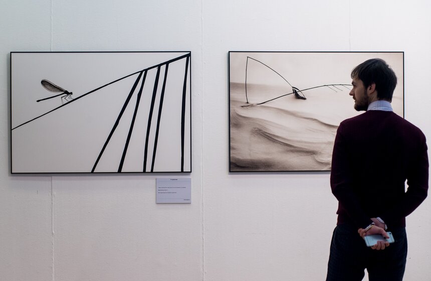 Фестиваль природы "Первозданная Россия" стартовал в Москве 16 фото