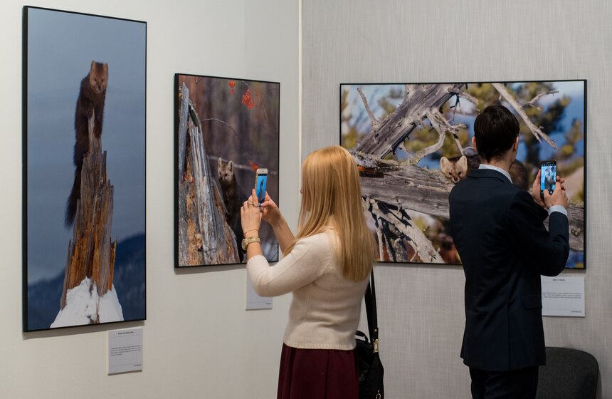 Фестиваль природы "Первозданная Россия" стартовал в Москве 20 фото