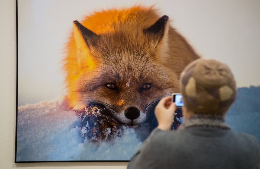 Фестиваль природы "Первозданная Россия" стартовал в Москве 27 фото