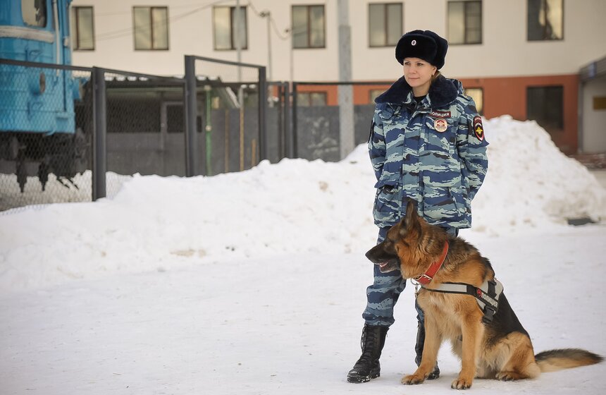 Как дрессируют собак в Центре кинологической службы метро 8 фото