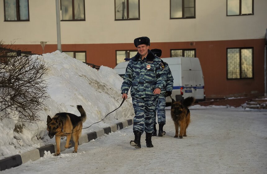 Как дрессируют собак в Центре кинологической службы метро 2 фото