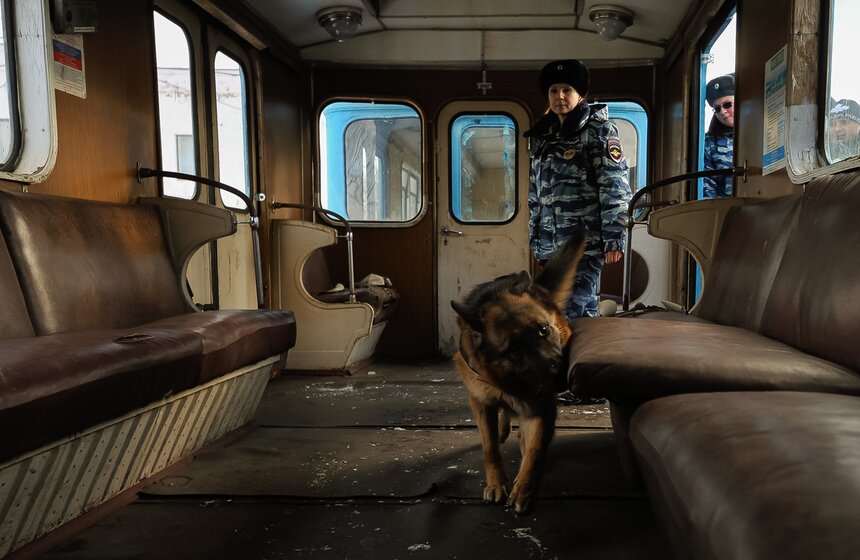 Как дрессируют собак в Центре кинологической службы метро 10 фото