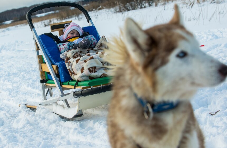 Гонка на собачьих упряжках "Дух Свободы" 31 фото