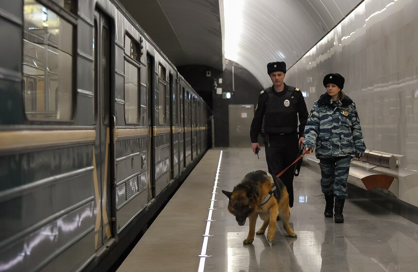 Как дрессируют собак в Центре кинологической службы метро 18 фото