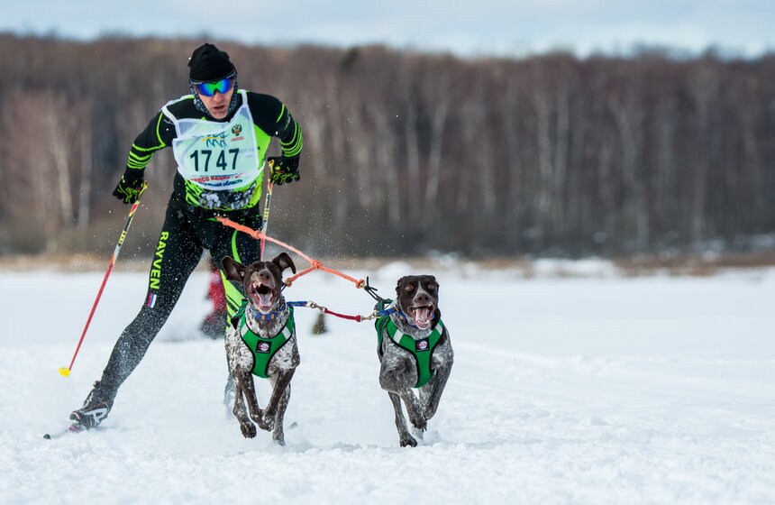 Гонка на собачьих упряжках "Дух Свободы" 6 фото