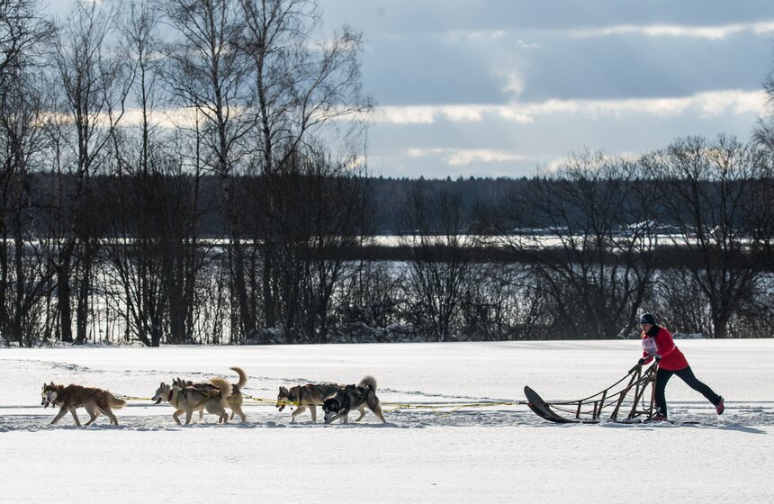 Гонка на собачьих упряжках "Дух Свободы" 12 фото