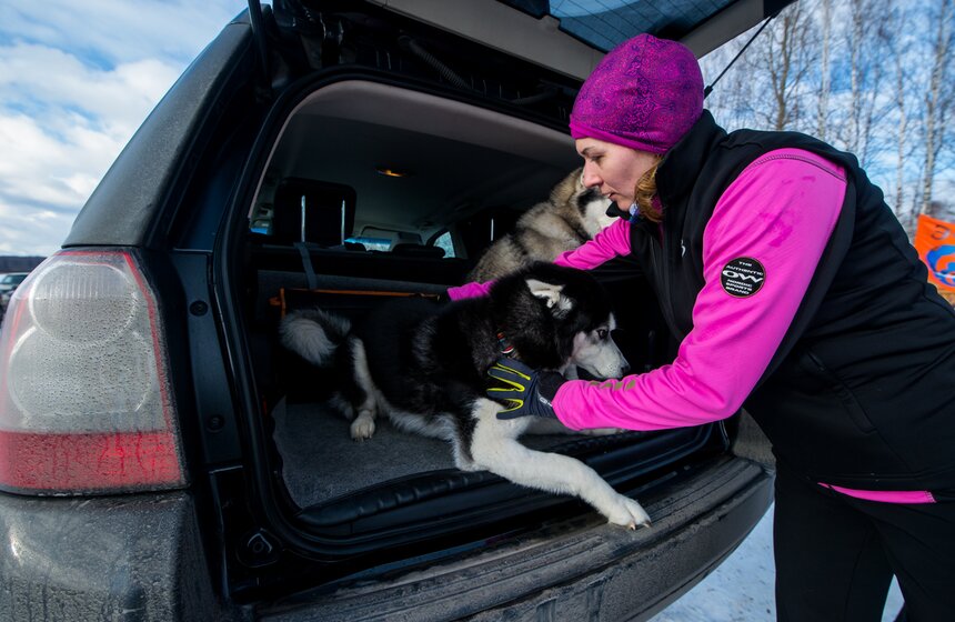 Гонка на собачьих упряжках "Дух Свободы" 15 фото