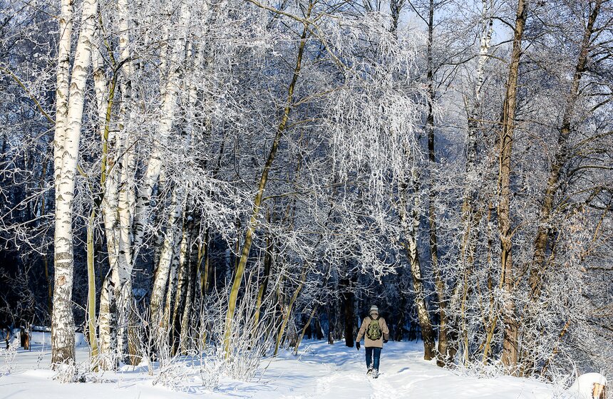 Неповторимые зимние пейзажи. Фоторепортаж 23 фото