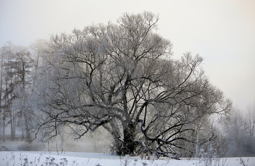 Неповторимые зимние пейзажи. Фоторепортаж 17 фото