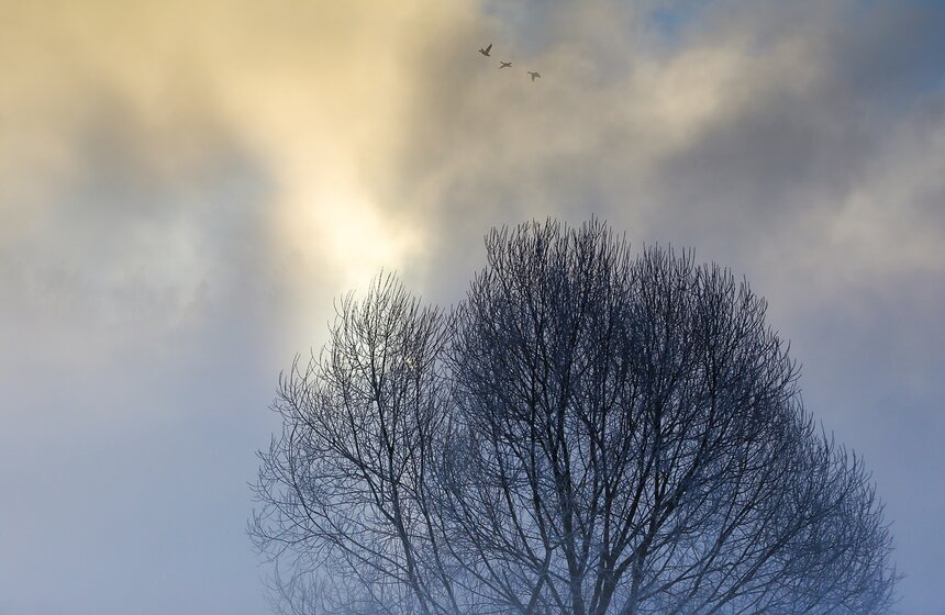 Неповторимые зимние пейзажи. Фоторепортаж 16 фото