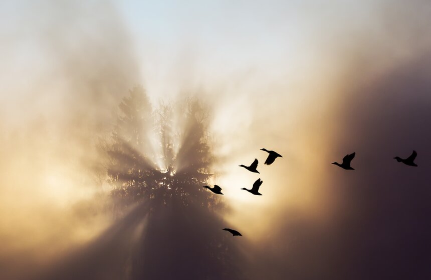 Неповторимые зимние пейзажи. Фоторепортаж 15 фото