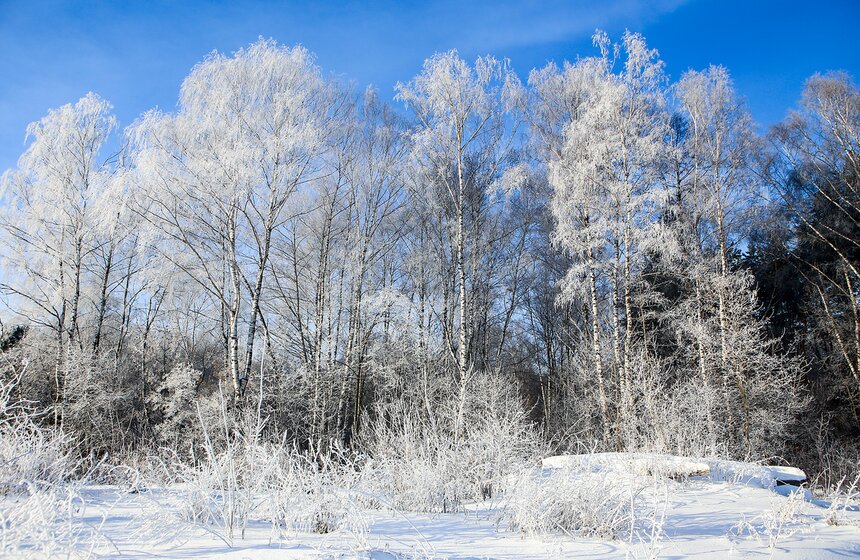 Неповторимые зимние пейзажи. Фоторепортаж 21 фото
