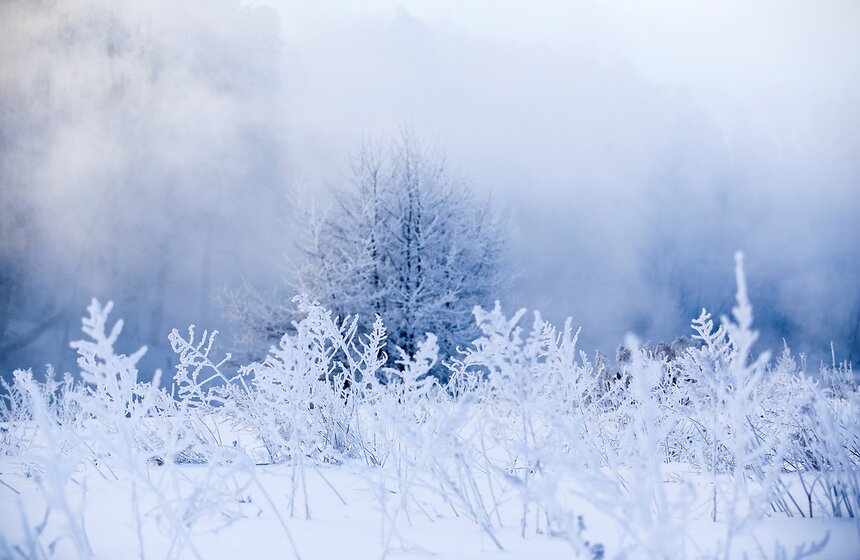 Неповторимые зимние пейзажи. Фоторепортаж 19 фото