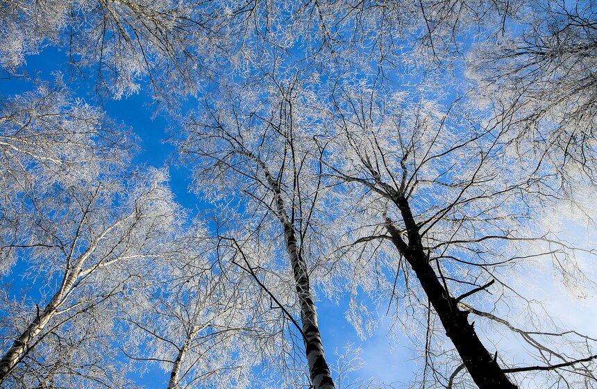 Неповторимые зимние пейзажи. Фоторепортаж 25 фото