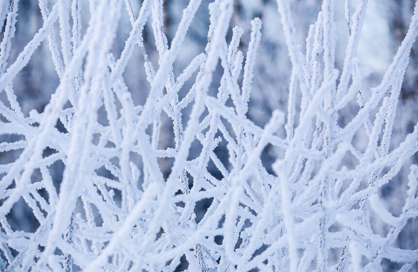 Неповторимые зимние пейзажи. Фоторепортаж 3 фото